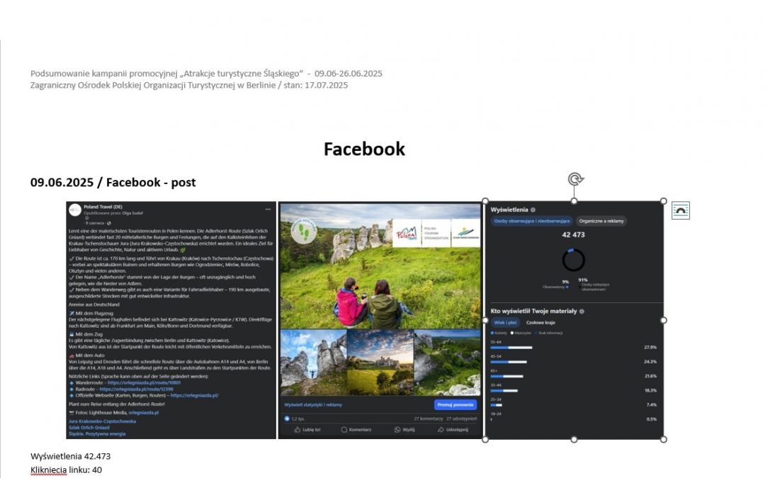 Kampania internetowa Śląskiego w Social Mediach ZOPOT Berlin