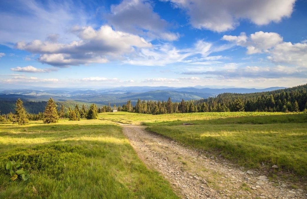 Plany Polaków na Majówkę 2026 – wyniki badania