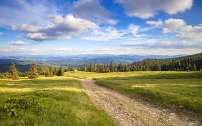 Zaproszenie do zapoznania się z wynikami badania – plany Polaków na majówkę 2026